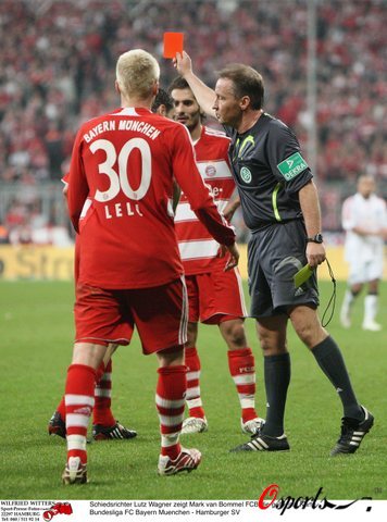 放大了团队 放大了团队